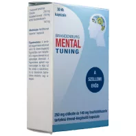 BRANDENBURG MENTAL TUNING kapszula 30 db