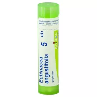 ECHINACEA ANGUSTIFOLIA C5 golyócskák 4 g