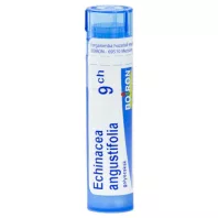 ECHINACEA ANGUSTIFOLIA CH9 golyócskák 4 G
