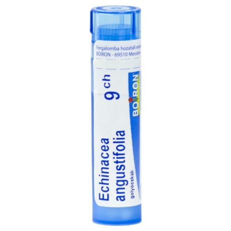 ECHINACEA ANGUSTIFOLIA CH9 golyócskák 4 G