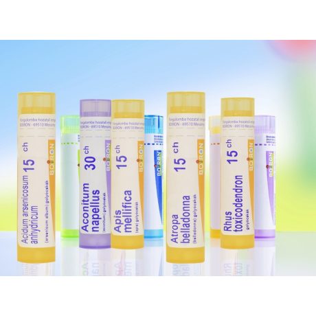 CSALÁDI HOMEOPÁTIÁS házipatika 1. (25 db készítmény) 1 csomag