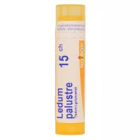 LEDUM PALUSTRE C15 golyócskák 4 g