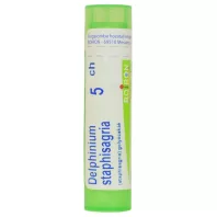 DELPHINIUM STAPHYSAGRIA C5 golyócskák 4 G