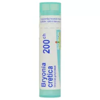 BRYONIA CRETICA C200 golyócskák 4 G