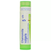 CHAMOMILLA VULGARIS C5 golyócskák 4 G