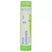 STICTA PULMONARIA C5 golyócskák 4 G