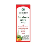 DR. CHEN KOHOFLU LÁNDZSÁS ÚTIFŰ szirup 150 ml