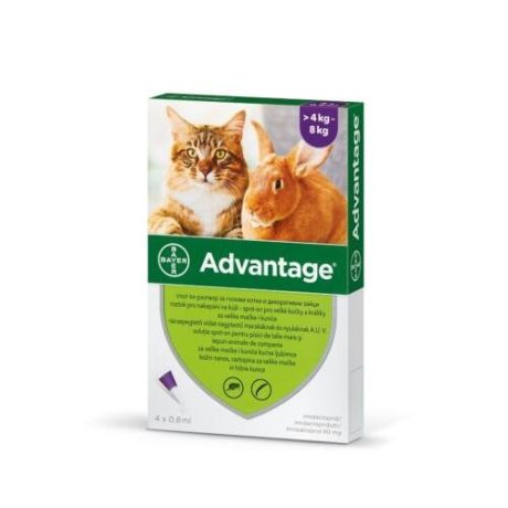 Advantage-80, rácsepegtető oldat macskáknak és nyulaknak 4-8kg 4x0.8ml