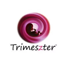 Trimeszter