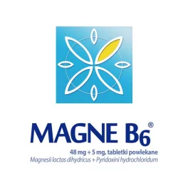 MagneB6